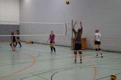 Volleyball BK TUS Lachendorf vs. SG Bergen-Wietzendorf