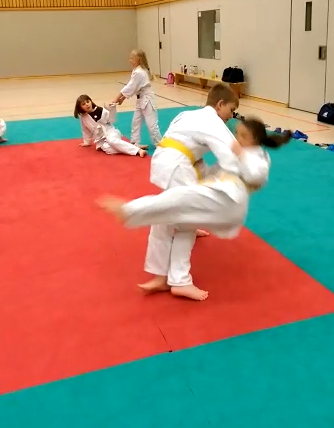 Judosafari 2018