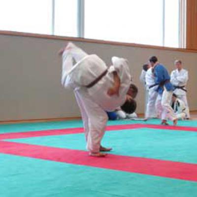 Judo2